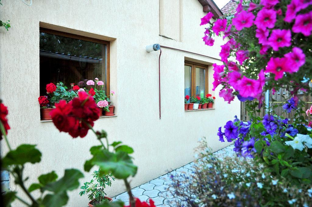 מלון גורה הומורולווי Casa Maria מראה חיצוני תמונה